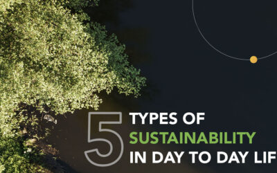 5 Types of Sustainability That Are Important For Healthy Lifestyle