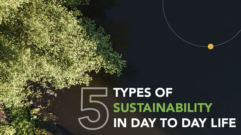 5 Types of Sustainability Cover