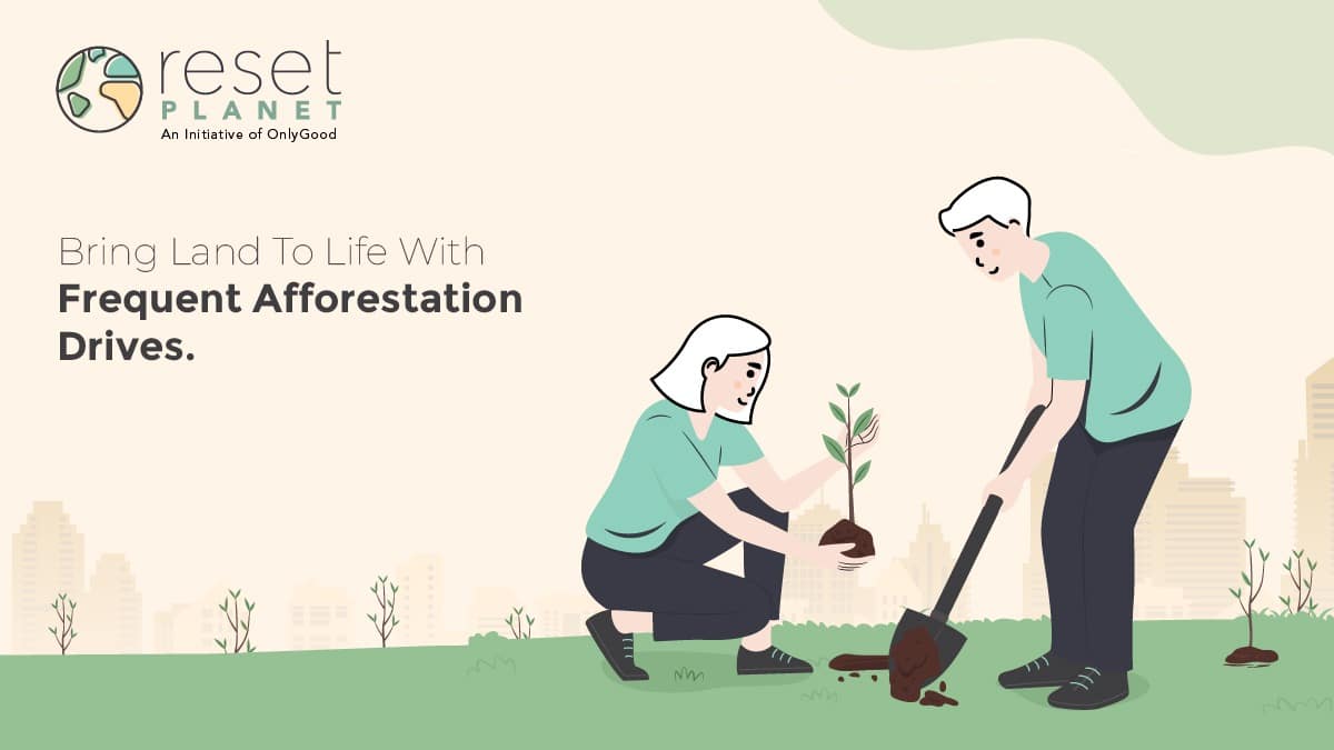 Bring Land To Life With Frequent Afforestation Drives