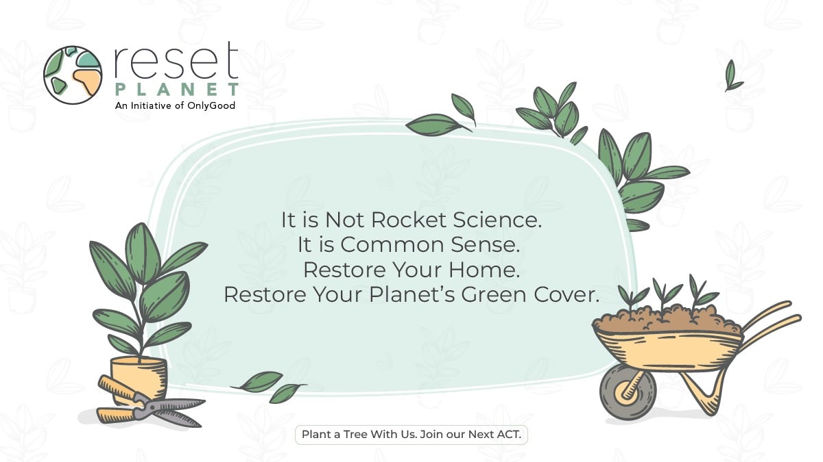 Restore Your Home Restore Your Planet’s Green Cover