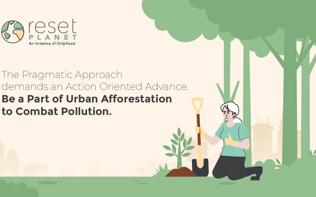 Be a Part of Urban Afforestation to Combat Pollution